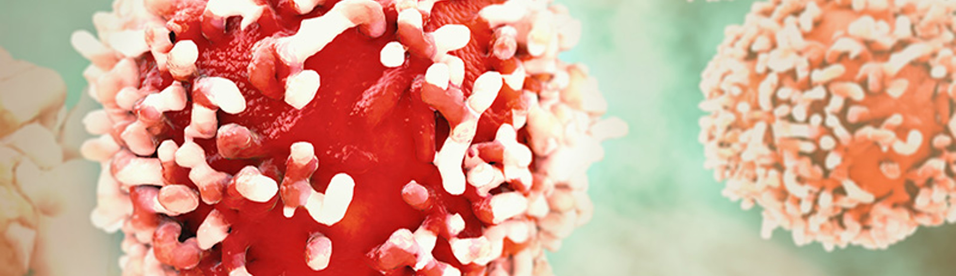 Cancer Cell Research Science Adobestock 96172433