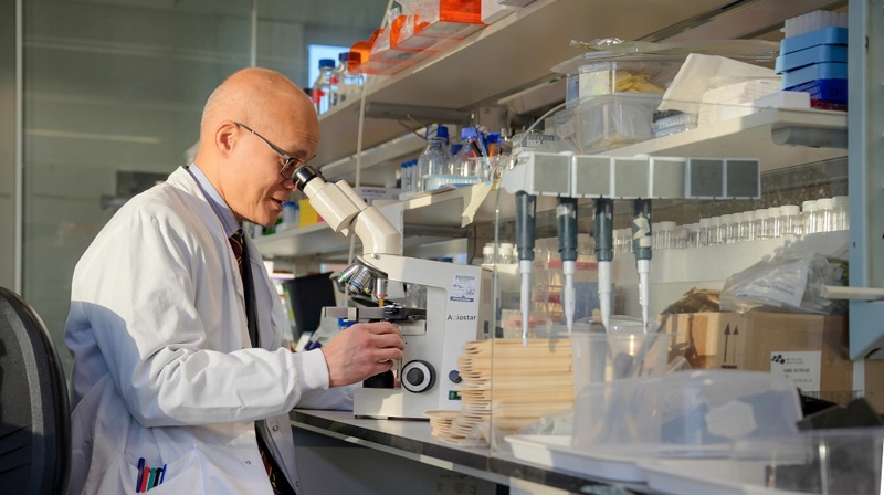 202311 Spring Dm 2024 Professor Hing Leung And Ian Mcneil Helen Pugh Research