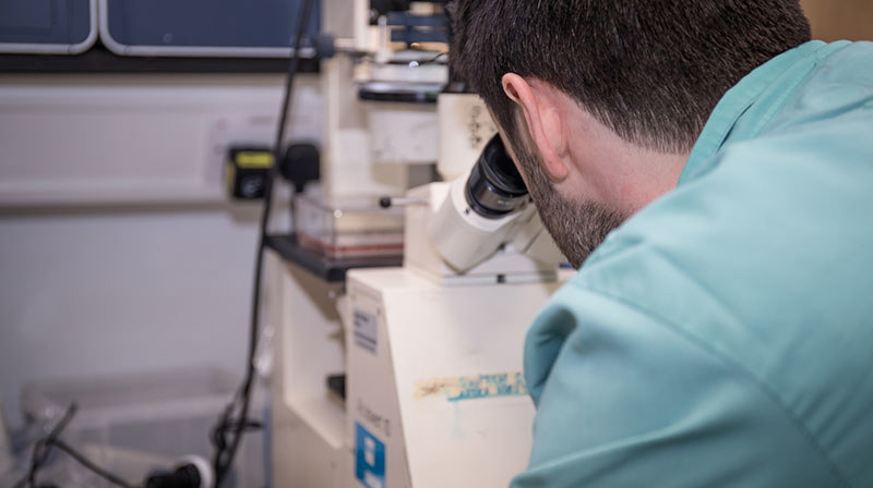 201903 Scientist Lab Research Easyjet