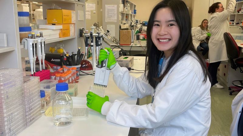 Feier Zeng Landscape