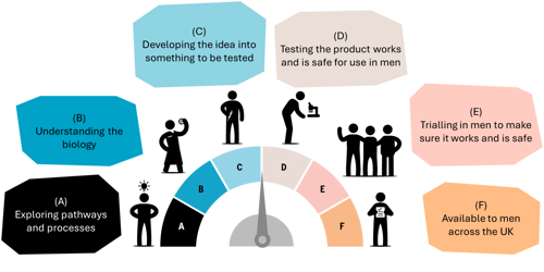 Infographic showing the six stages behind 'shifting the needle'. 1. Exploring pathways and processes. 2. Understanding the biology. 3, Developing the idea into something to be tests. 4. Testing the product works and is safe for use in men. 5. Trialling in men to make sure it works and is safe. 6. Available to men across the UK.