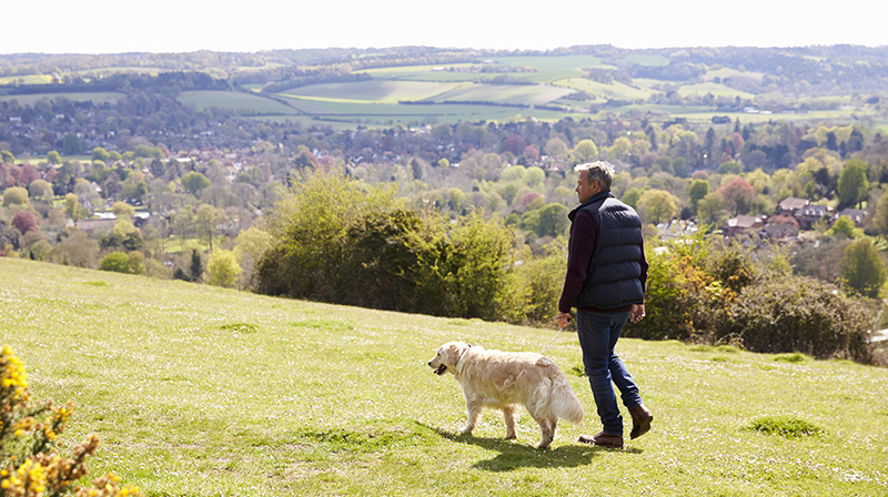 Man Walking Dog Istock 546200376