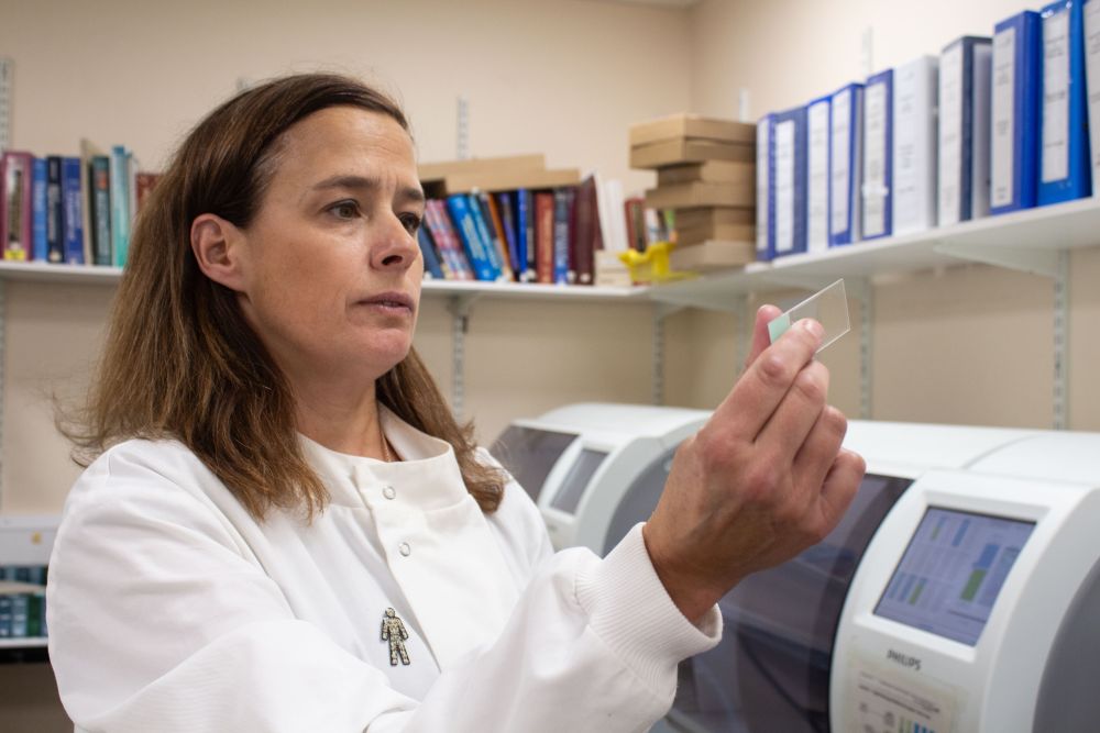 Professor Clare Verrill Prostate Cancer UK Researcher Biopsy Slide