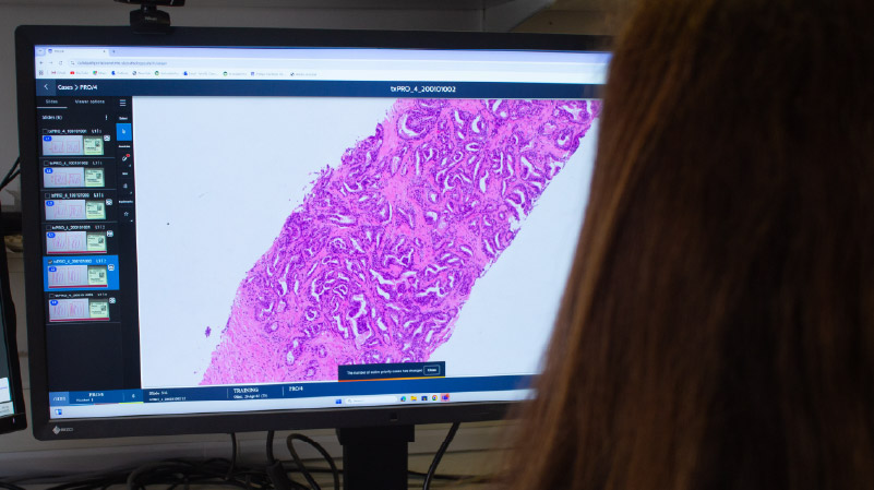 7851 Christmas DM N&V 800X448 6