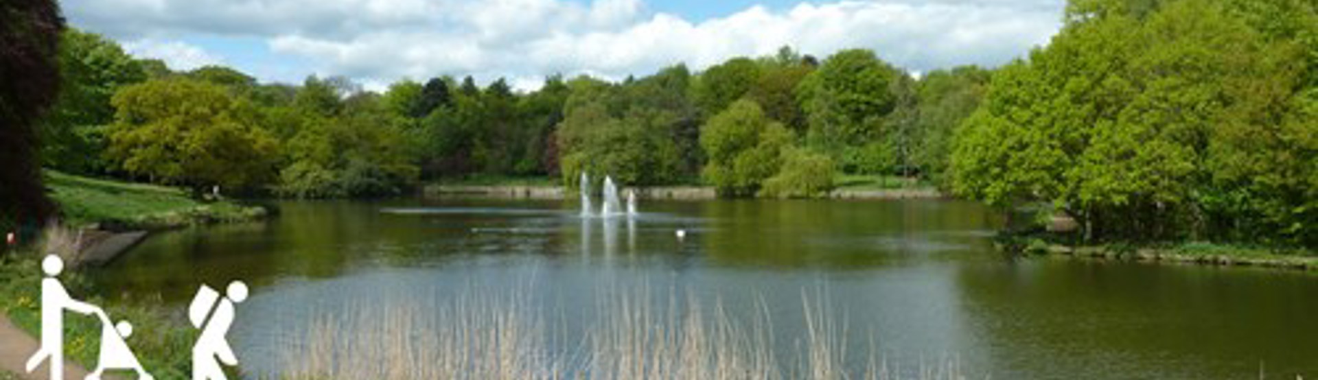 Park landscape with March for Men icons