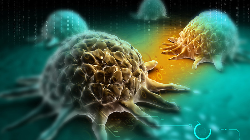 Cancer Cell Research Science Adobestock 71624499