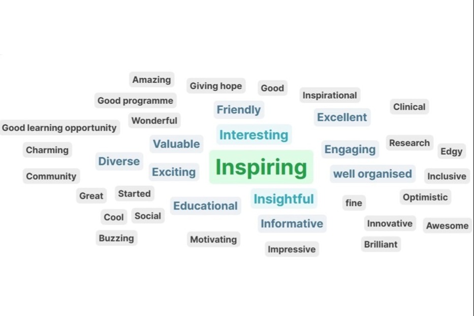 A collage of words researchers used to describe the event, including "inspiring", "exciting", "diverse", and "well-organised".