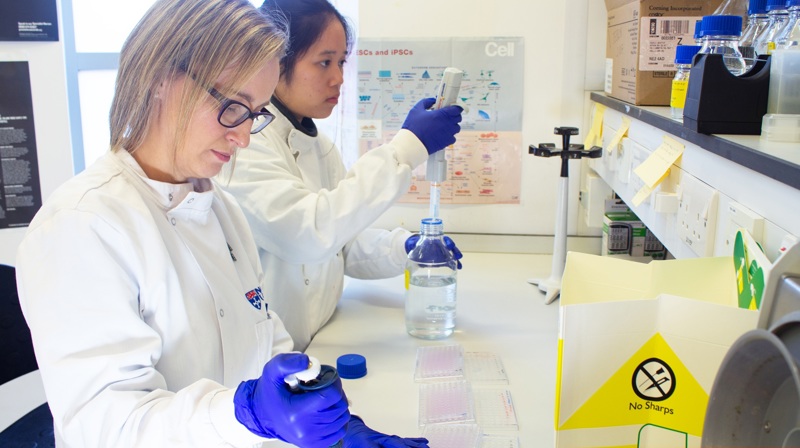 Kelly Coffey And Team At Work