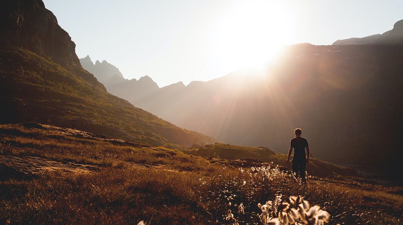 Dennis Ottink Unsplash Walk Field