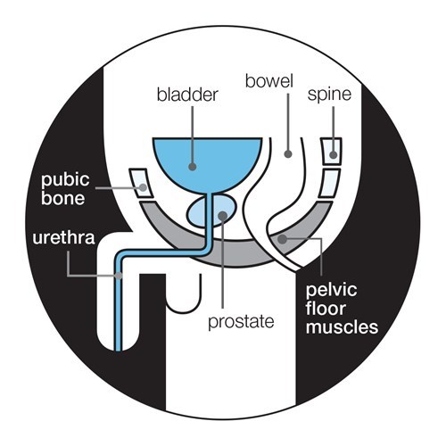 Рубрика: Ce steroizi pot fi folosiți pentru prostatita cronică