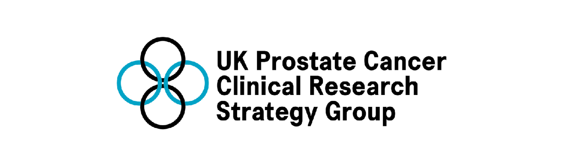 CRSG logo banner image