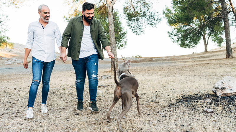 Couple Walking Dog Adobestock 386988436