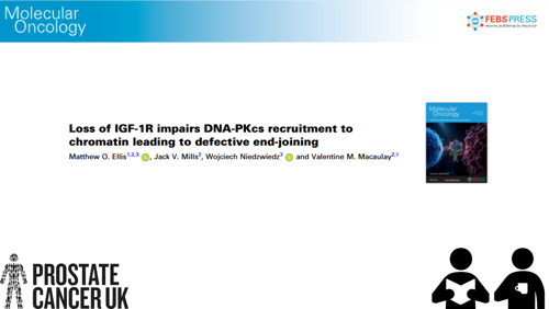 IGF-1R_impairs_DNA-PKcs_graphic (1).png