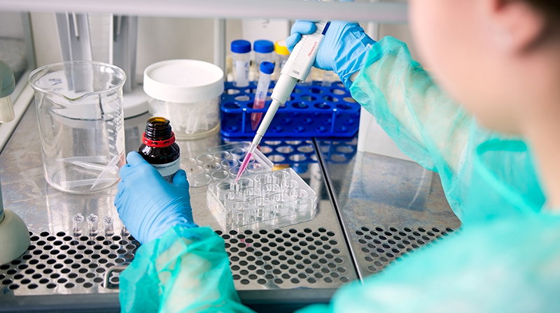 Research Science Adobestock 124645157