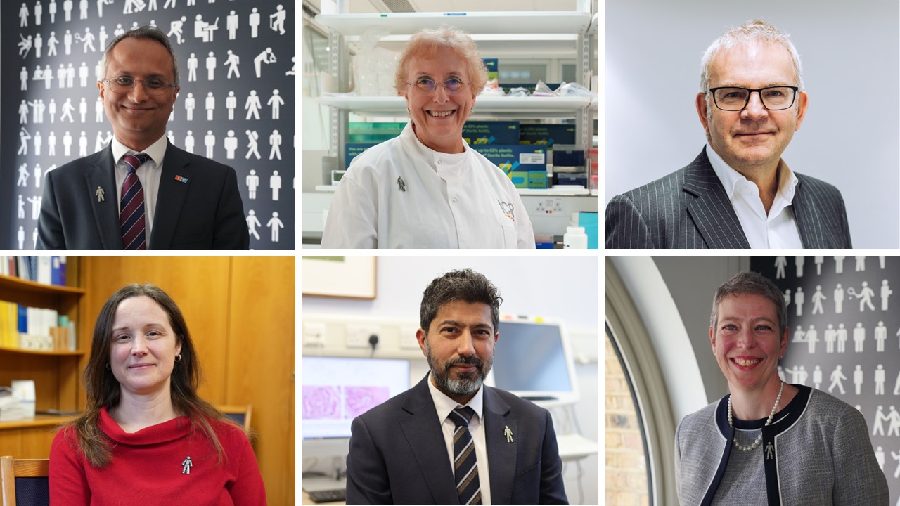 TRANSFORM Lead Researcher Photo Collage