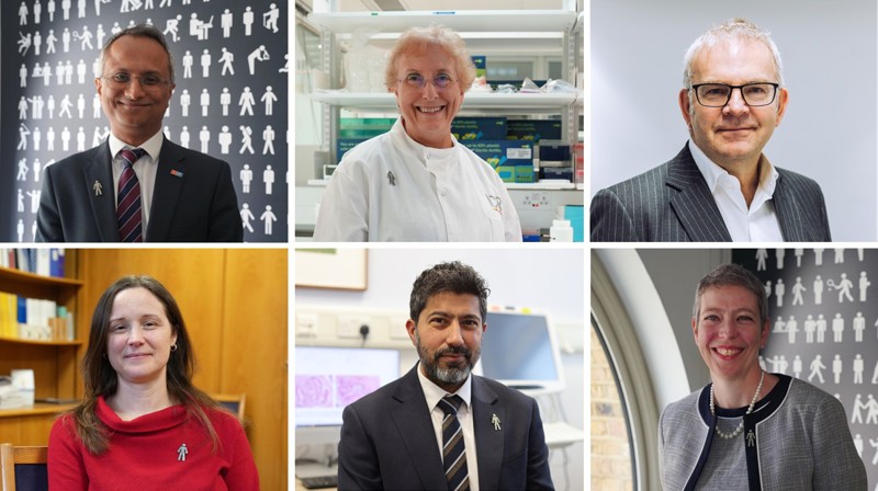 TRANSFORM Lead Researcher Photo Collage