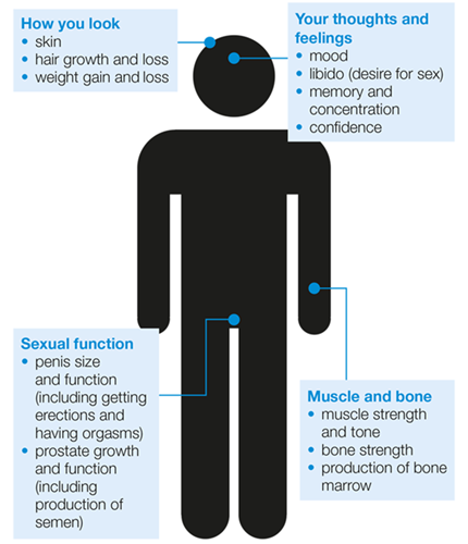 Does low testosterone cause prostate enlargement,