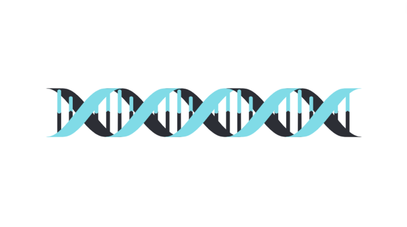 DNA Strand