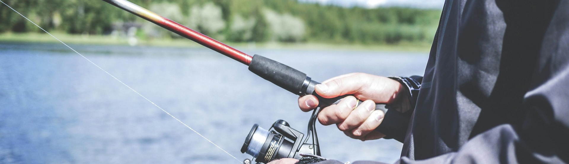 2024 Fishing Fish Pexels Lumn 294674