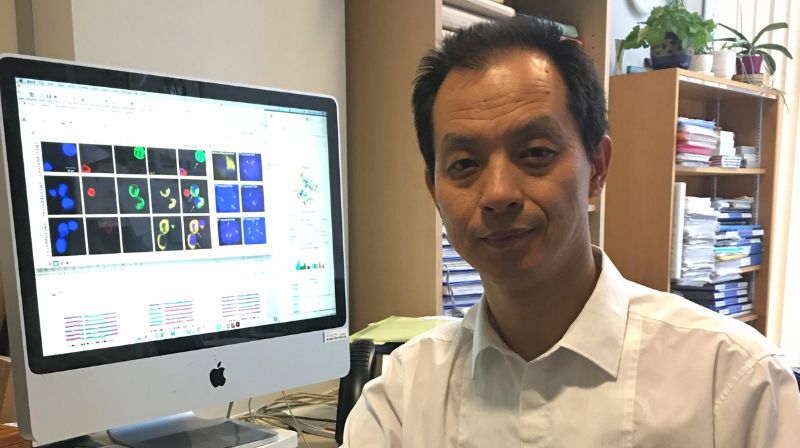Professor Yong Jie Lu Prostate Cancer UK Researcher