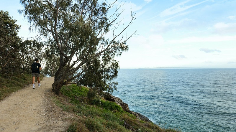 Steven Joel Walk Coastal