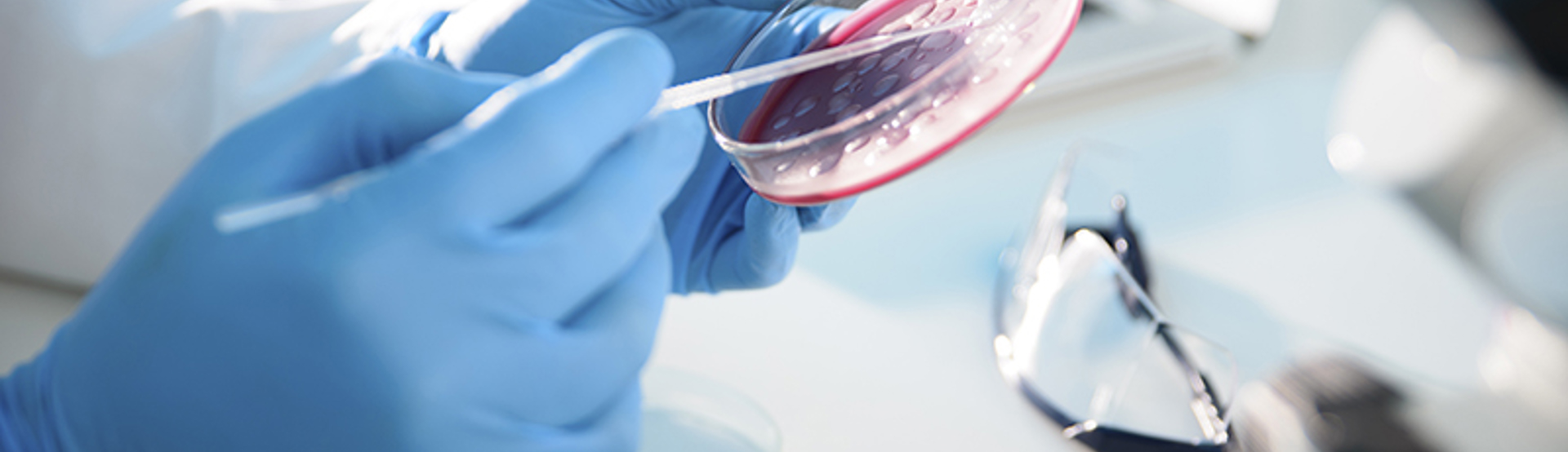 Research Petri Science Istock 000046565740XXX