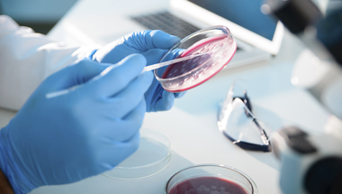 Research Petri Science Istock 000046565740XXX