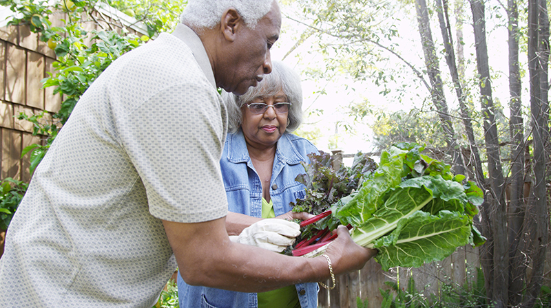 Couple Gardening Outside Adobestock 225777815