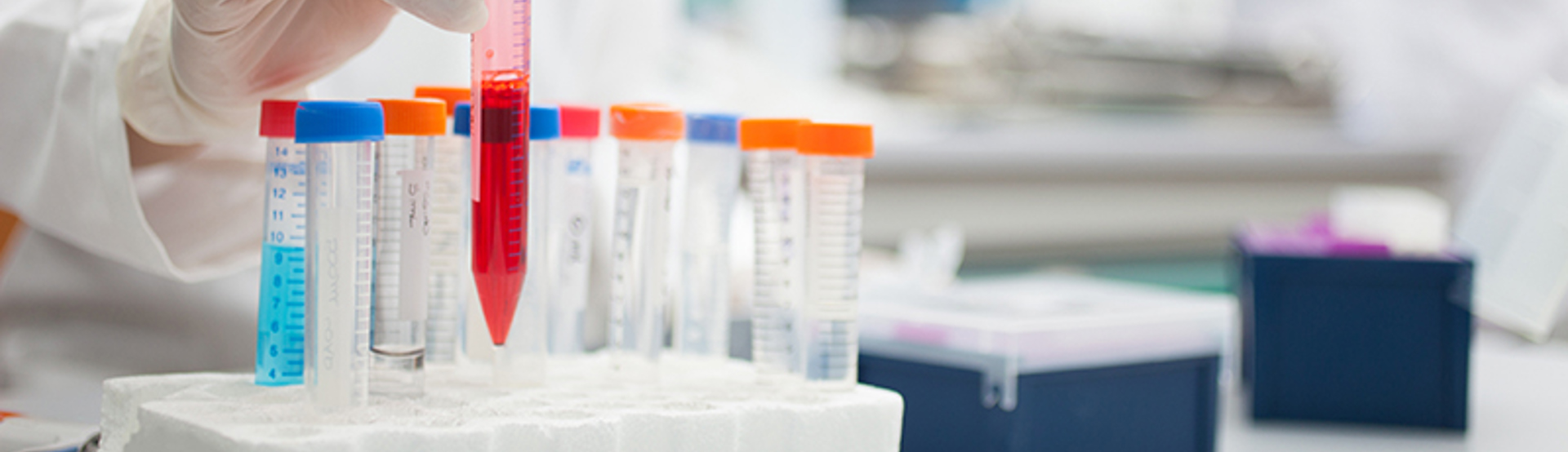 Research Test Tubes Science Adobestock 63575703
