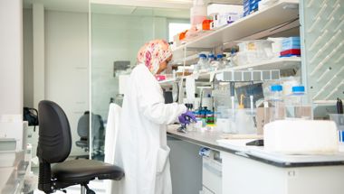 202306 Asma Ahmed Elshiekh Autumn DM 60