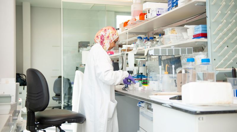 202306 Asma Ahmed Elshiekh Autumn DM 60