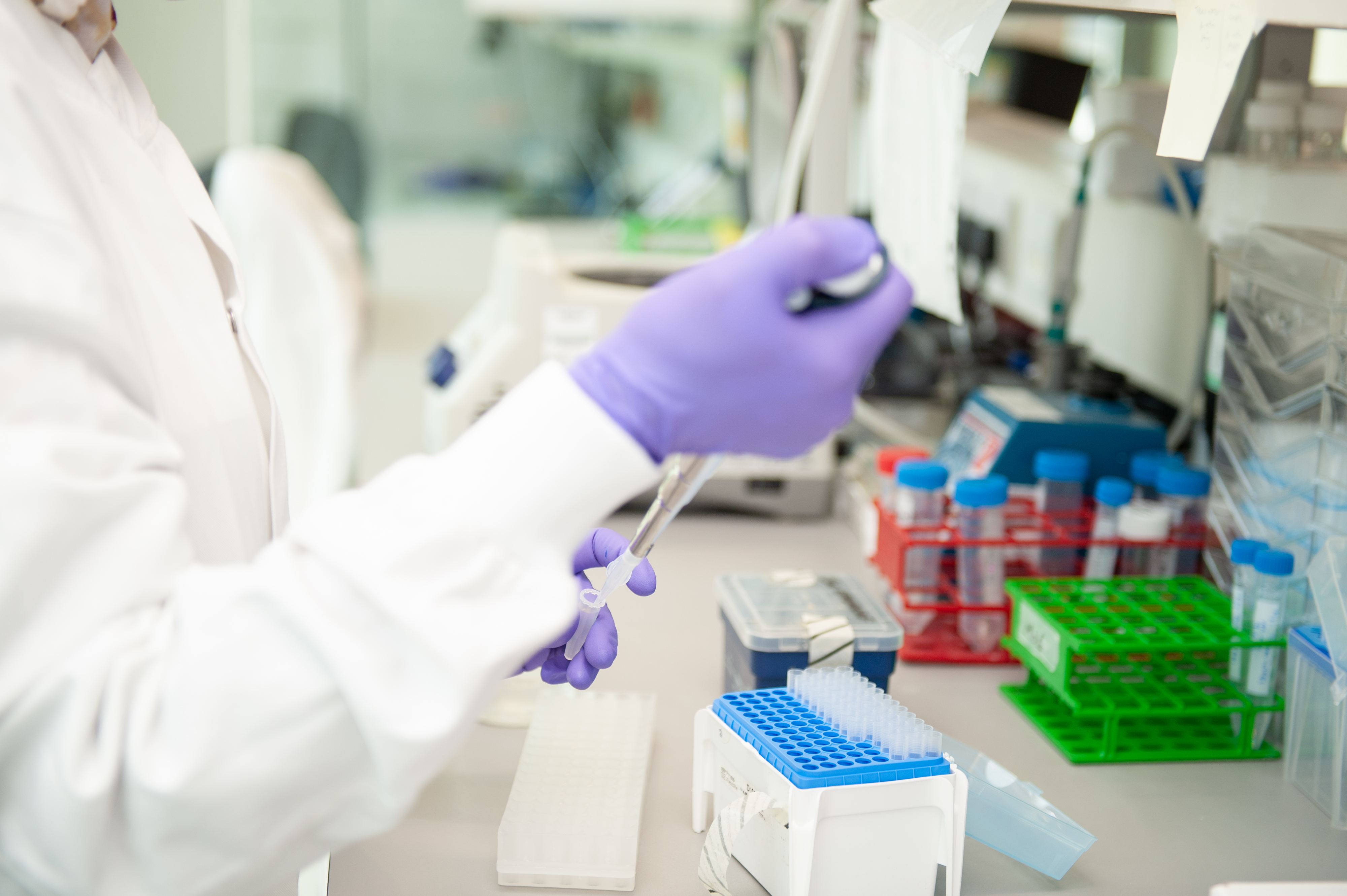 202306 Asma Ahmed Elshiekh Autumn DM 58